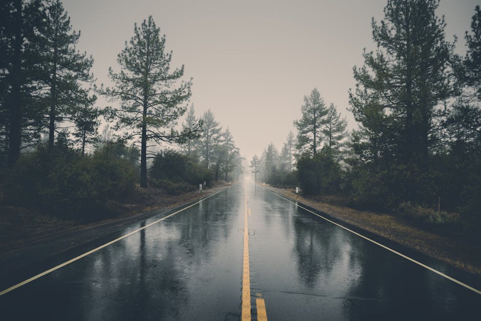 vee terzyhttps://www.pexels.com/@veeterzyhttps://images.pexels.com/photos/39811/pexels-photo-39811.jpeg